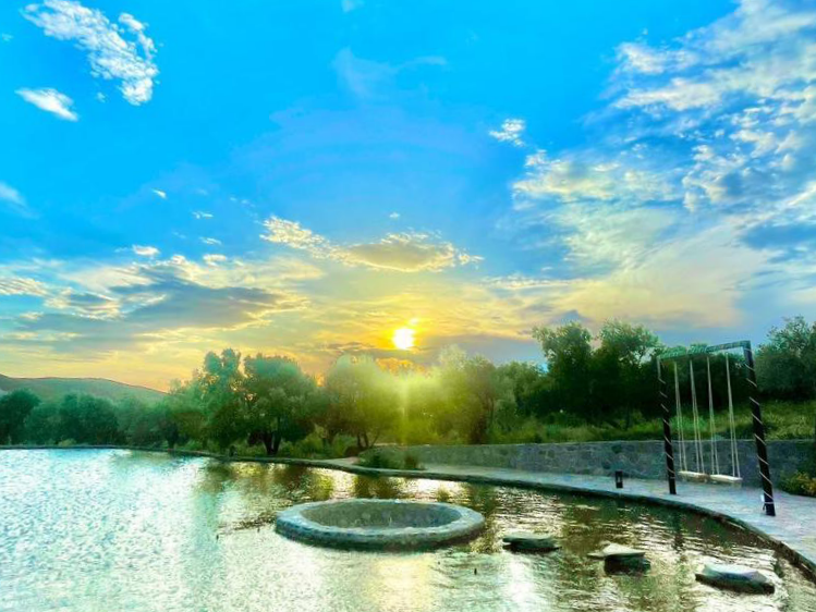 استخر ماهی استخر ماهی