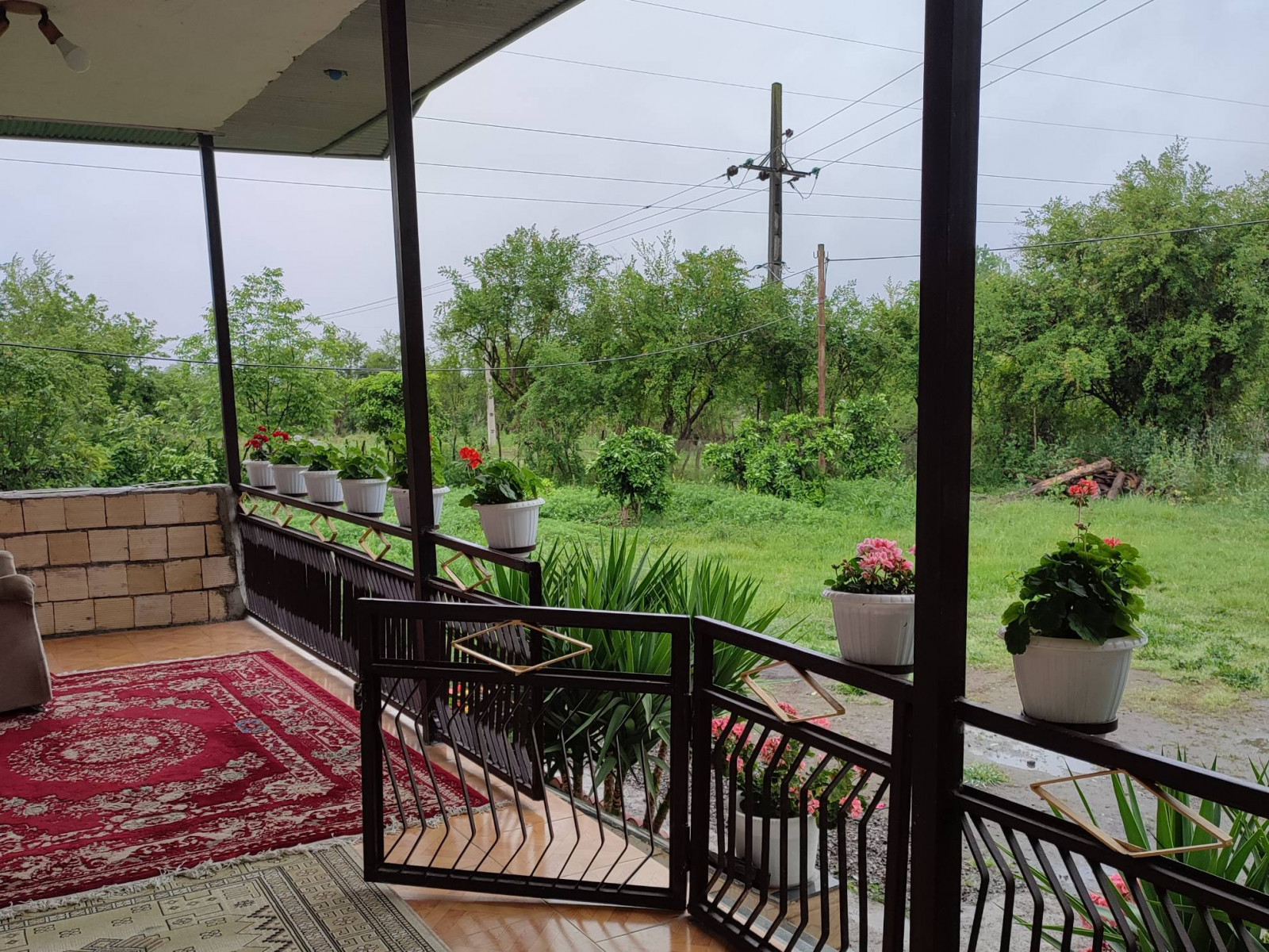 ویو تراس ویو تراس