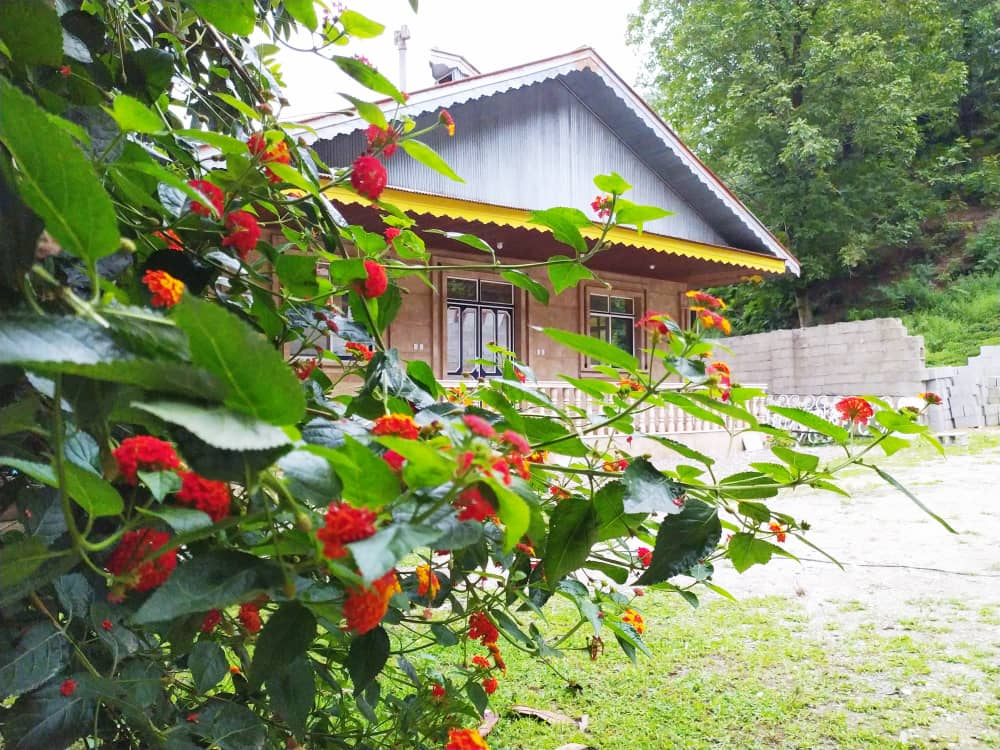نمای خانه
