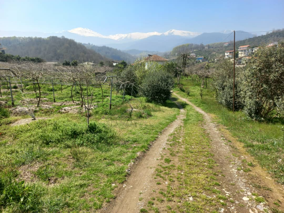 مسیر دسترسی به اقامتگاه