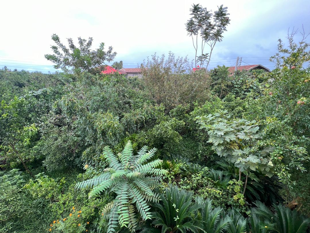 چشم انداز چشم انداز