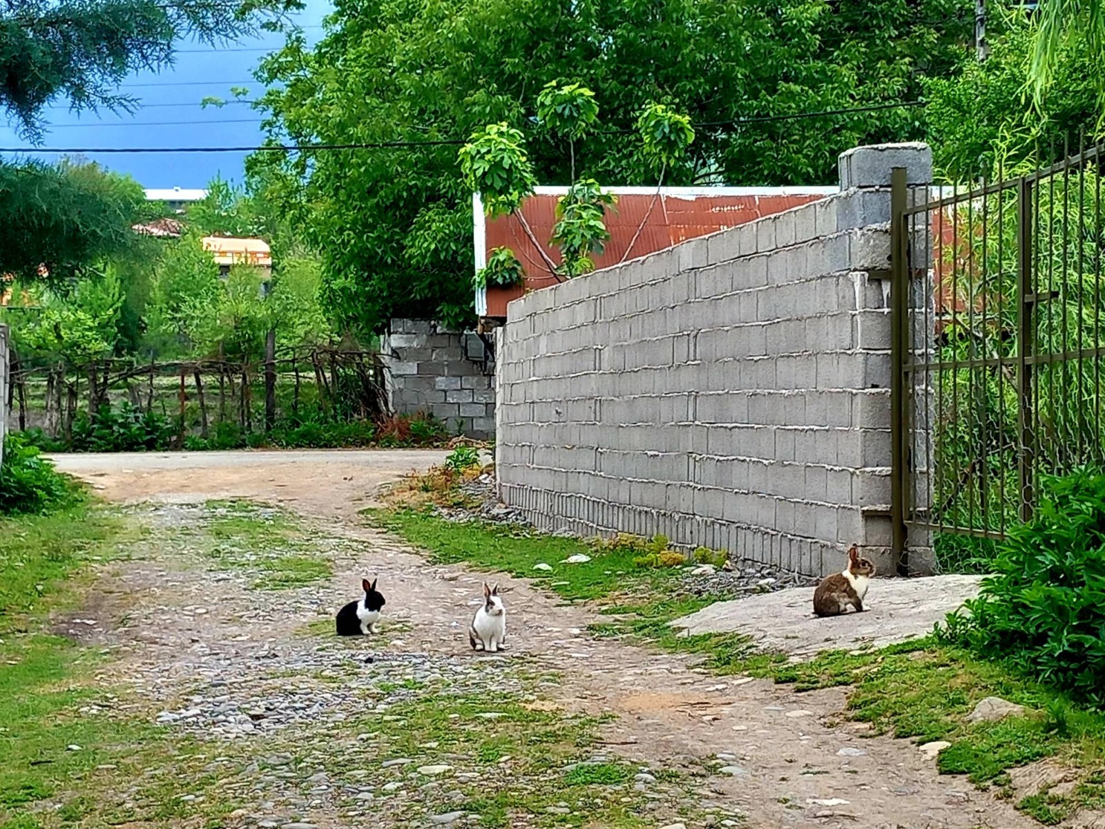 کوچه ویلا