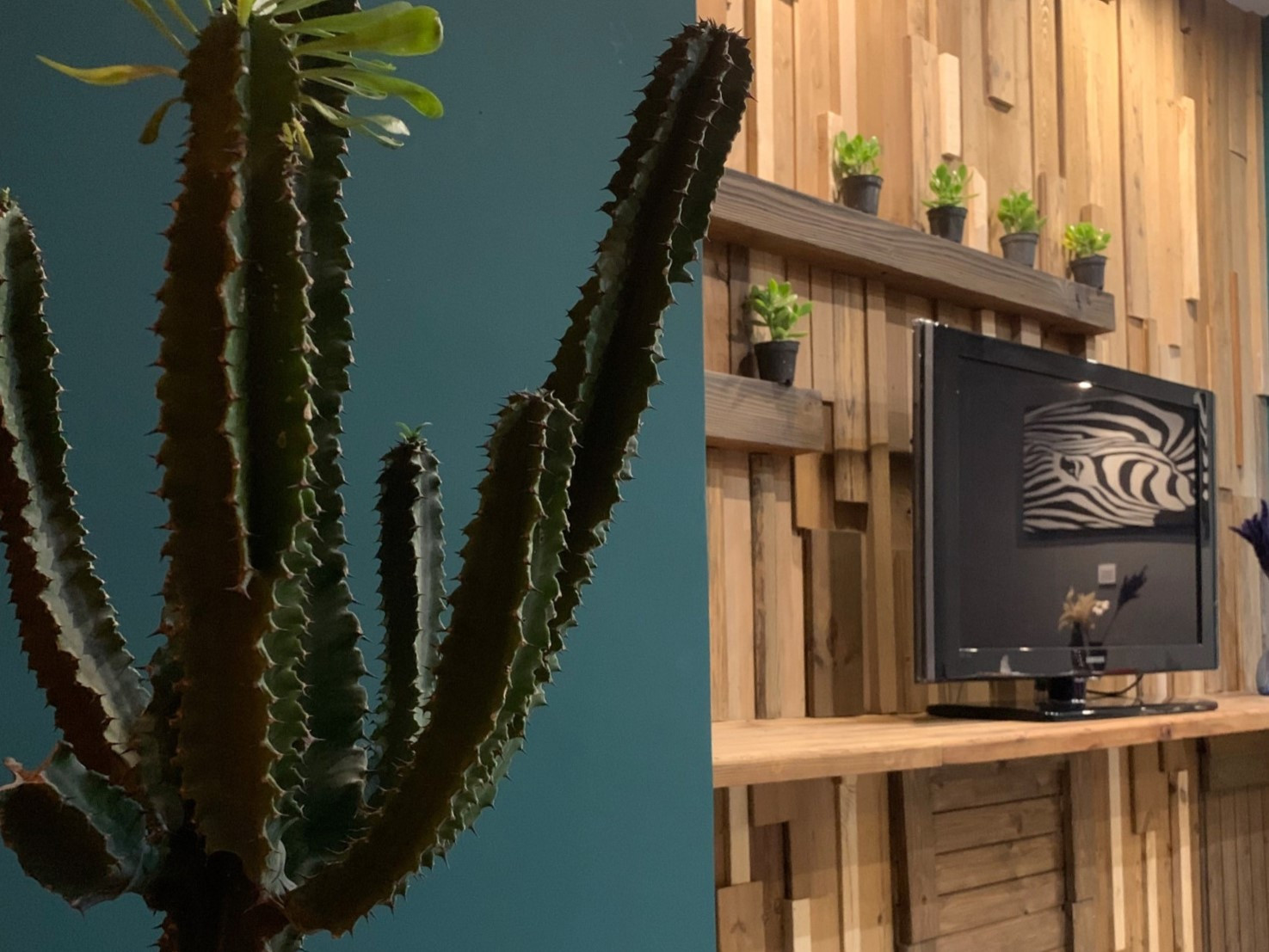 اتاق پذیرایی اتاق پذیرایی