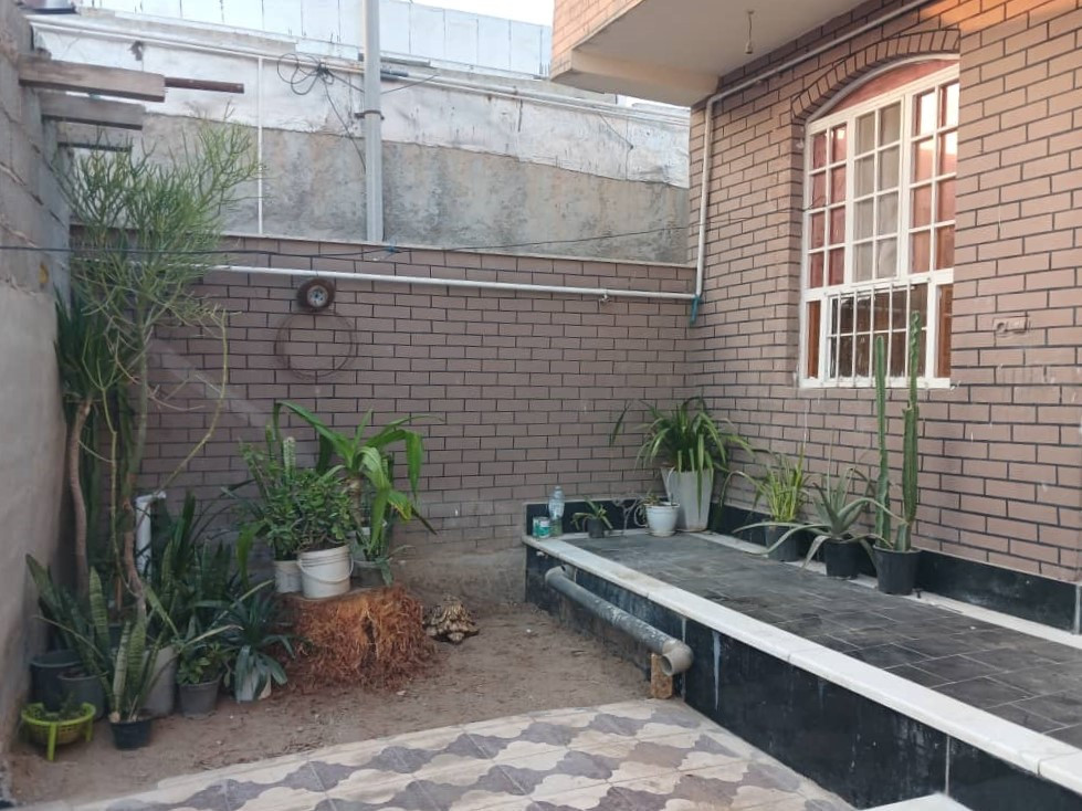 حیاط