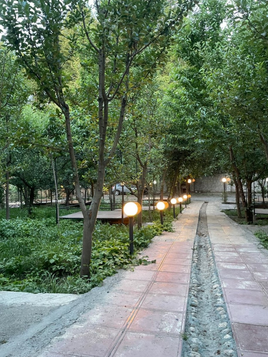 حیاط