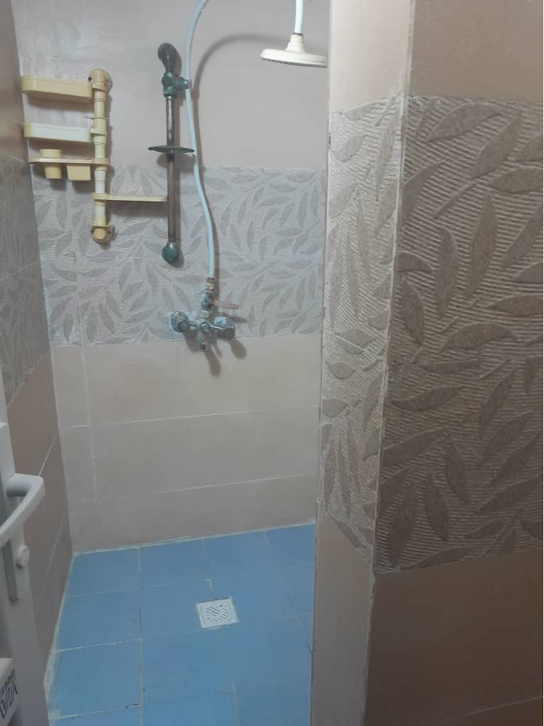 سرویس بهداشتی