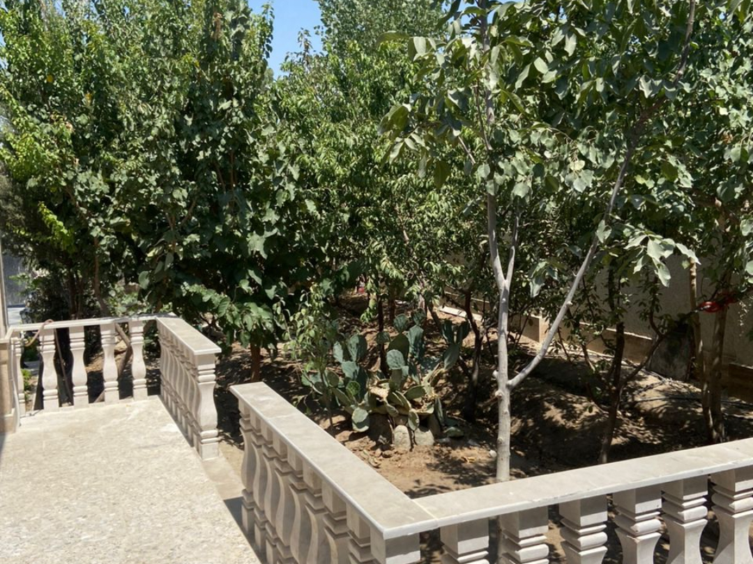 تراس و حیاط تراس و حیاط