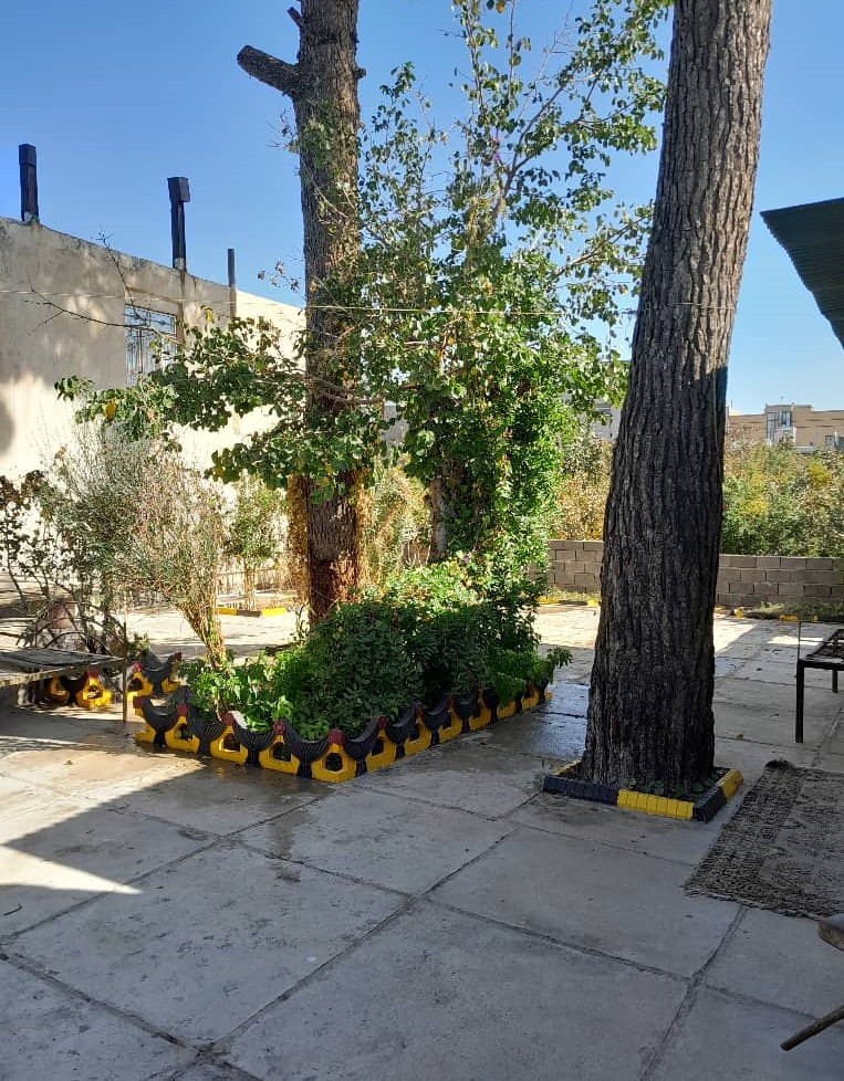 حیاط