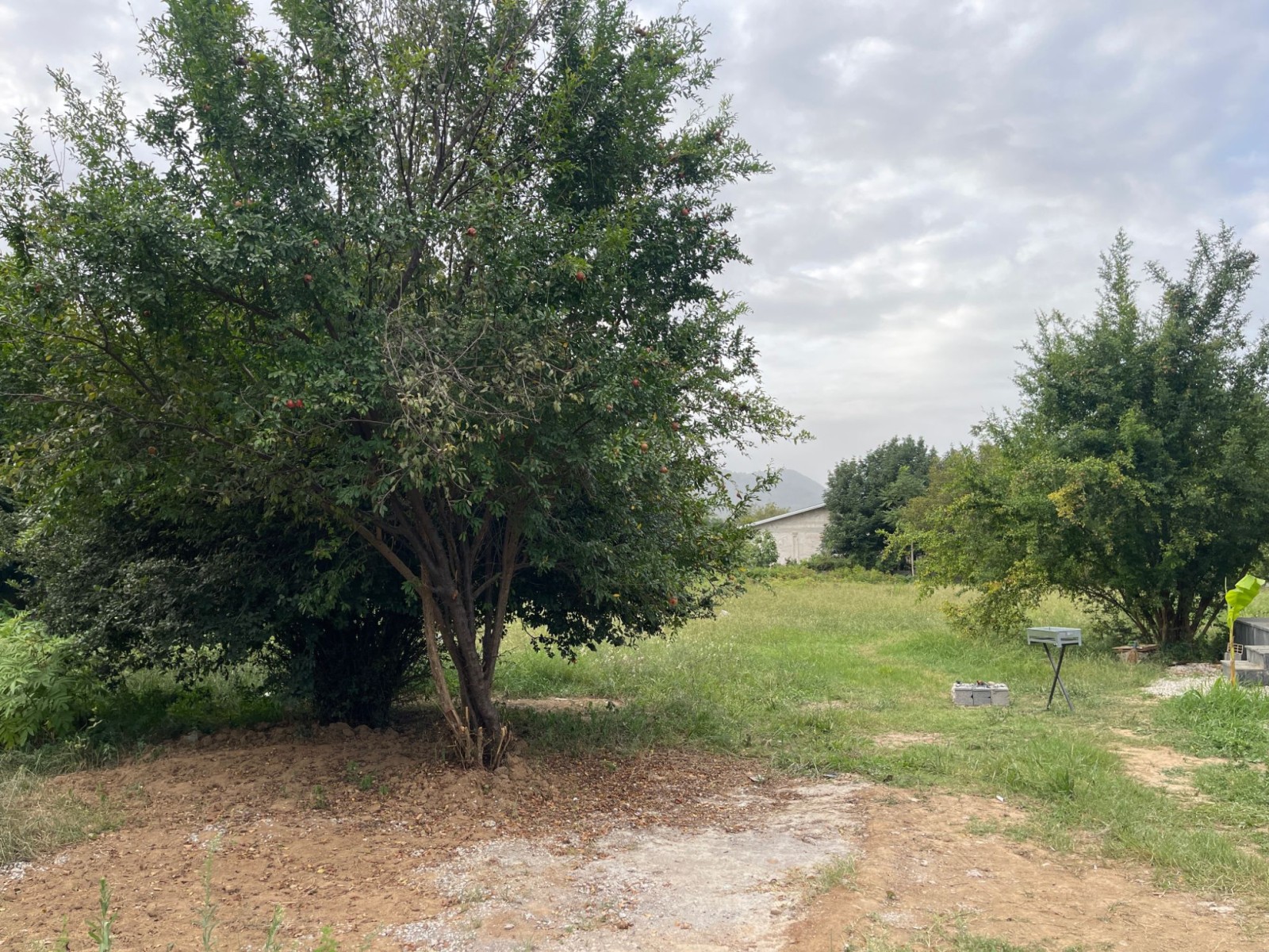 نمای بیرونی ساختمان