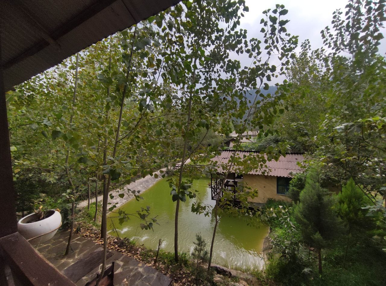 ویو تراس ویو تراس