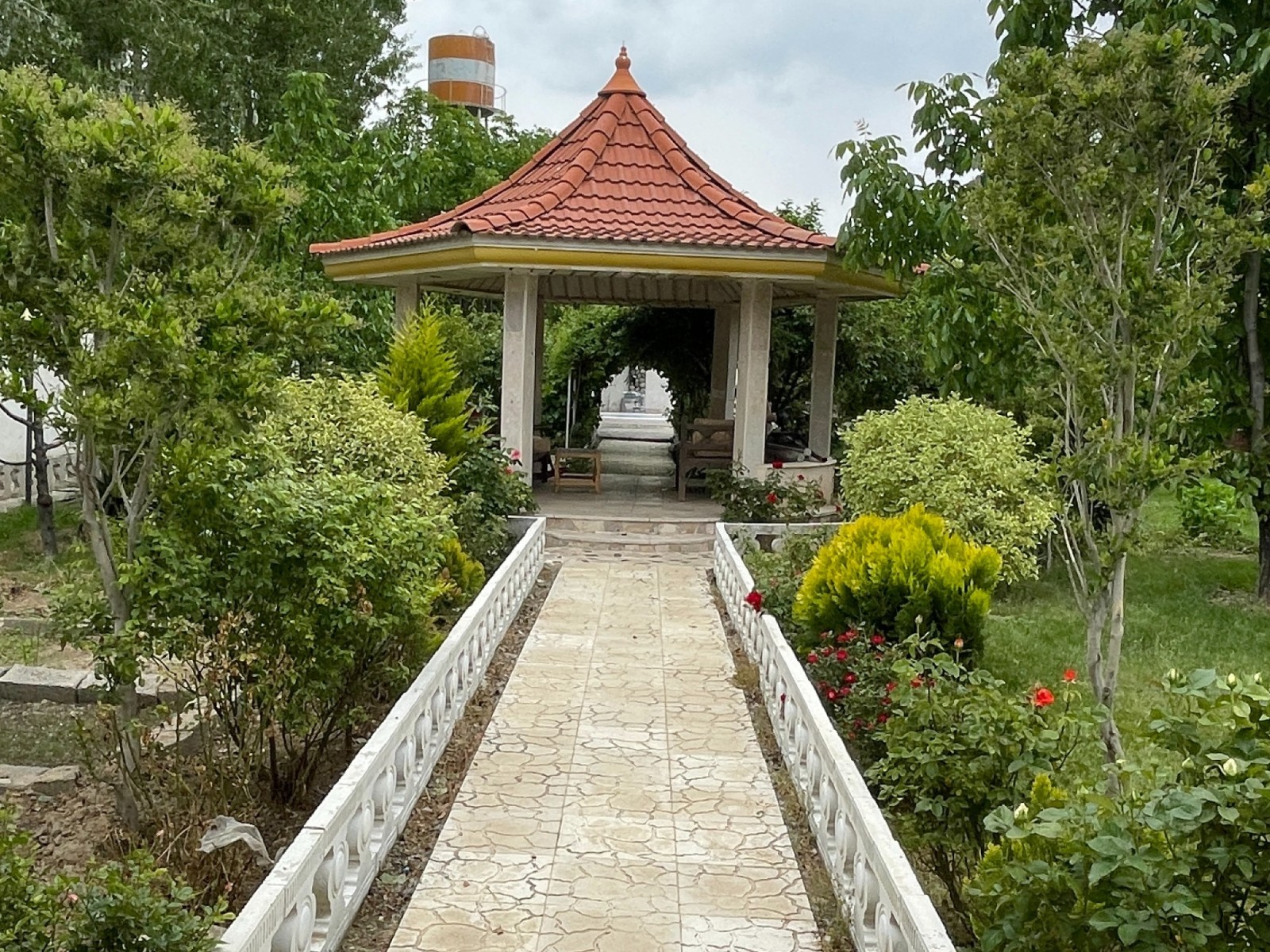 حیاط