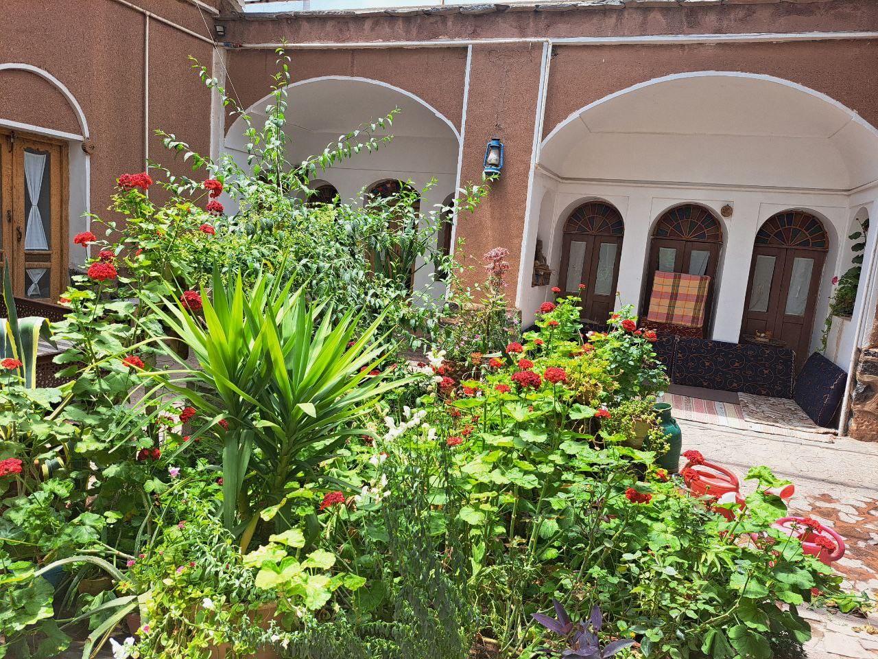 حیاط