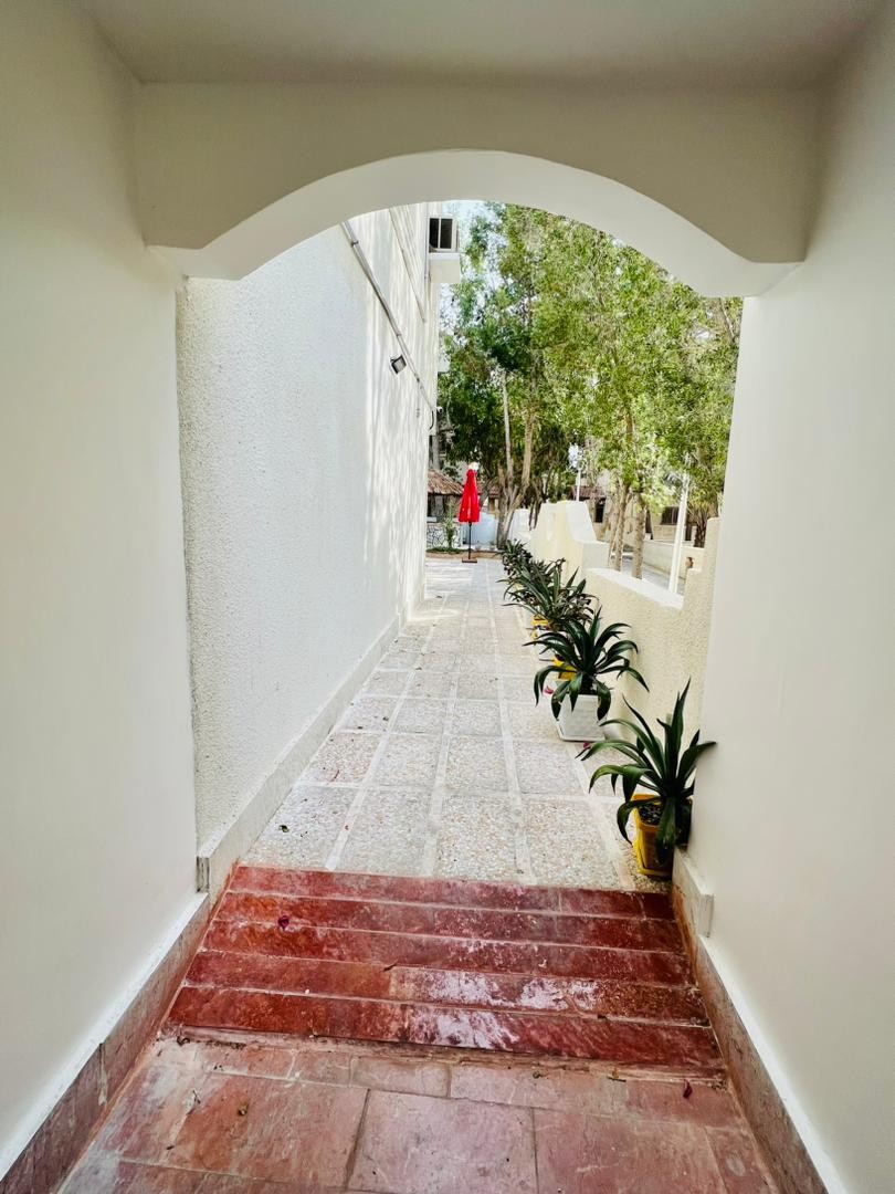 حیاط