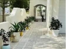 حیاط