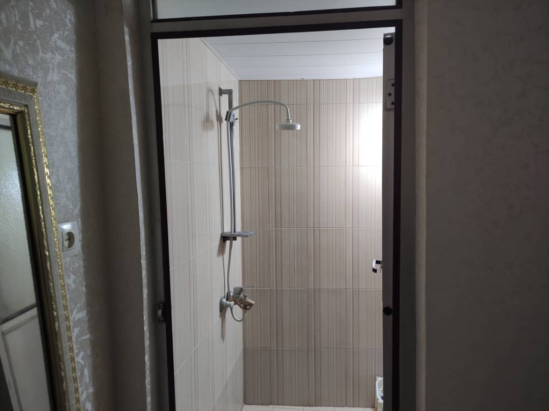 سرویس بهداشتی