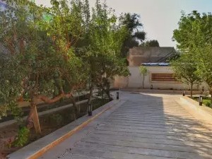 حیاط