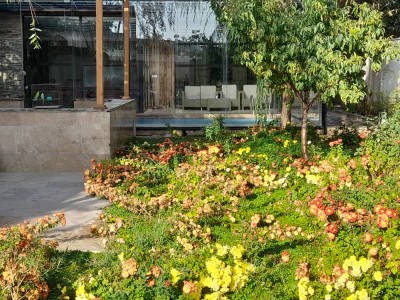 ویلای مدرن دو خوابه با استخر سرپوشیده آبگرم گلها