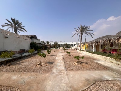 بومگردی عمارت سفید(باغ VIP)