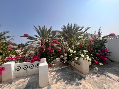 بومگردی عمارت سفید( باغ ۱)