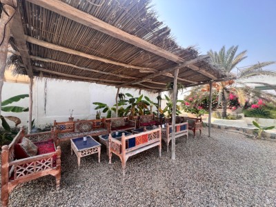 بومگردی عمارت سفید( نخل ۱)