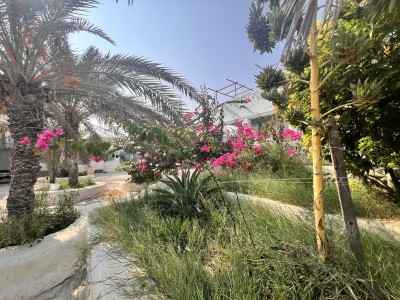 بومگردی عمارت سفید(ساحل۱)