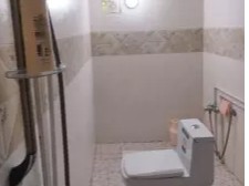 سرویس بهداشتی