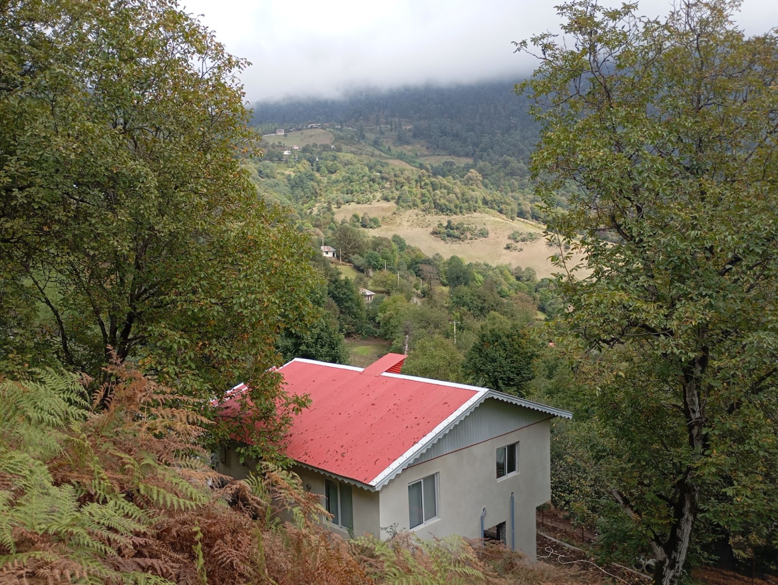 نمای ساختمان