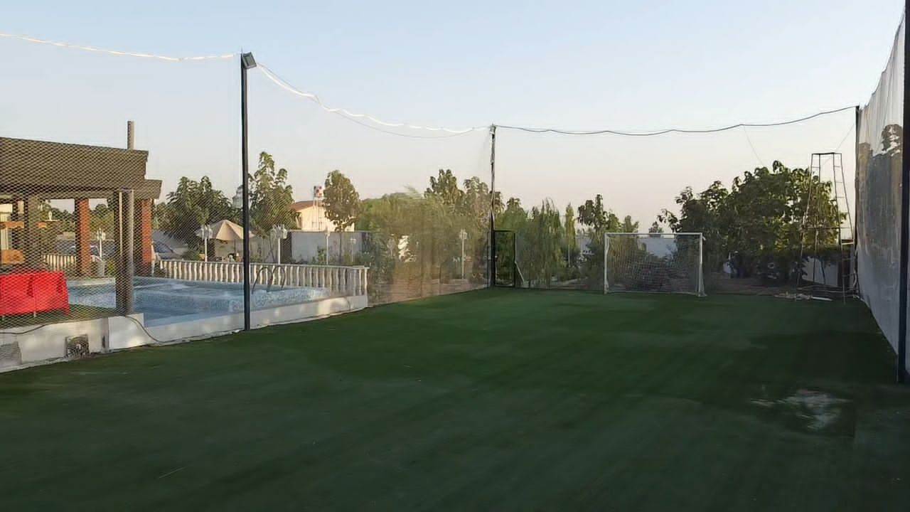 حیاط