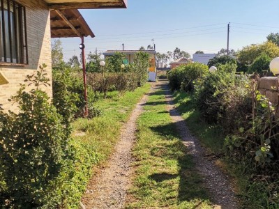 سوئیت دی