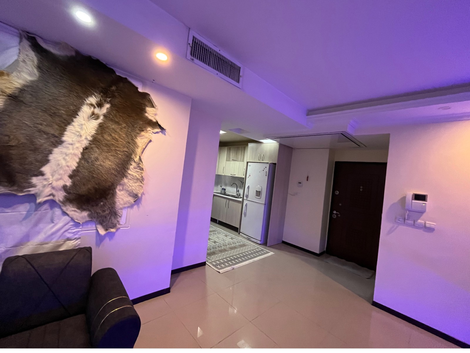 اتاق پذیرایی اتاق پذیرایی