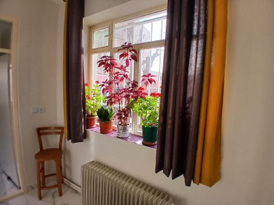 سوئیت ویلایی