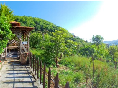 کلبه چوبی با منظره زیبا