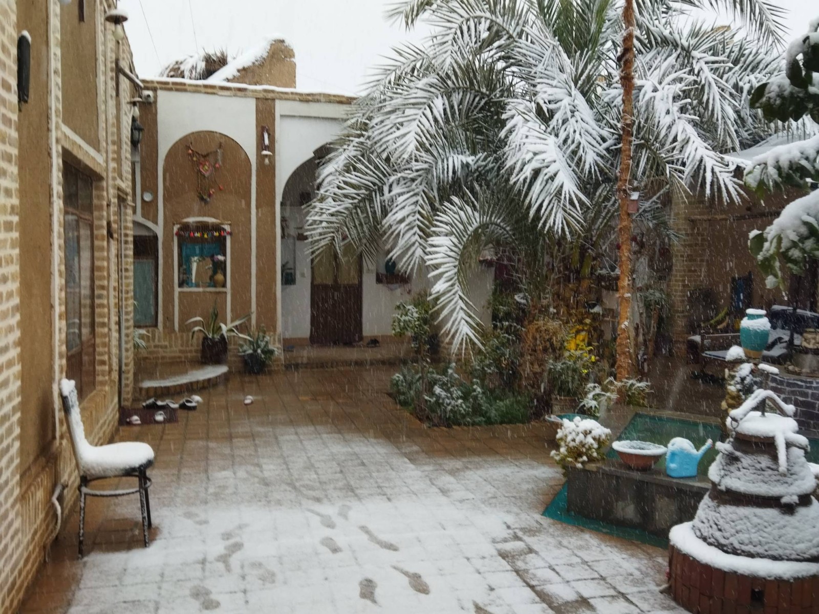 حیاط