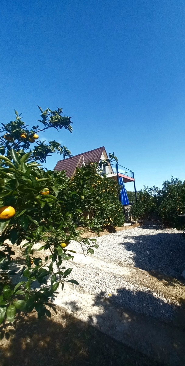 نمای ساختمان نمای ساختمان