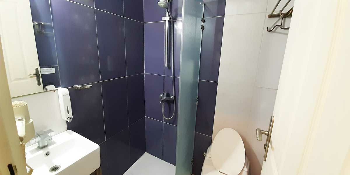 سرویس بهداشتی