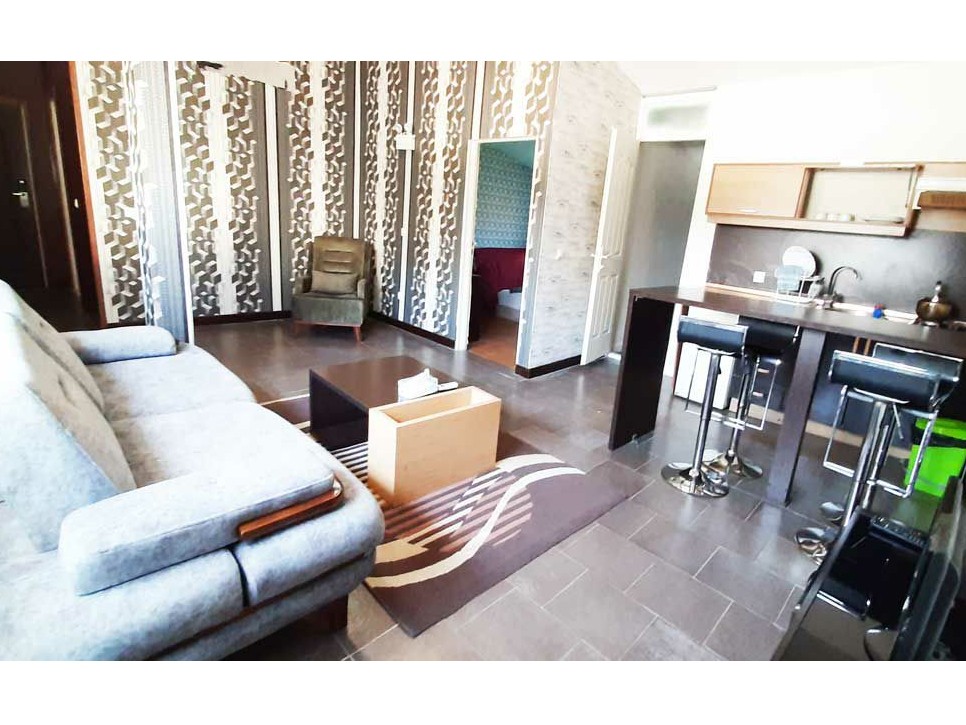 اتاق پذیرایی اتاق پذیرایی