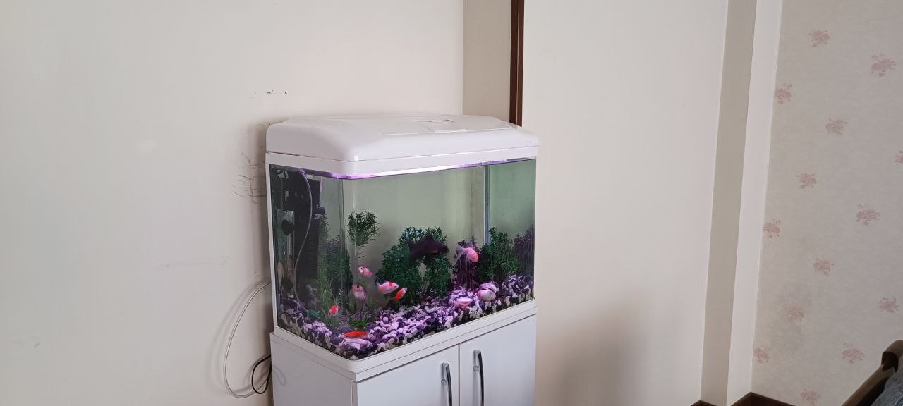 اتاق پذیرایی اتاق پذیرایی