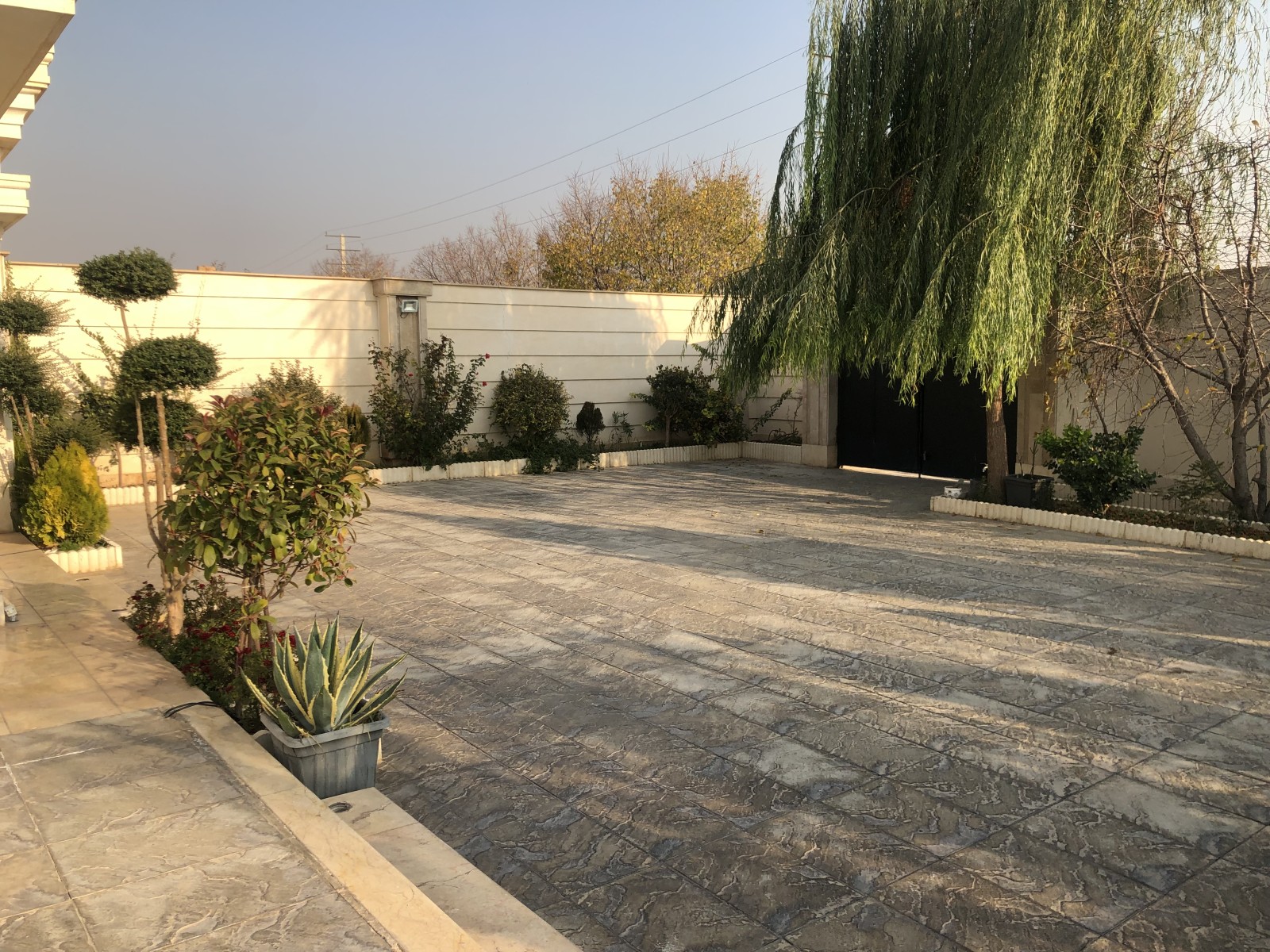 حیاط