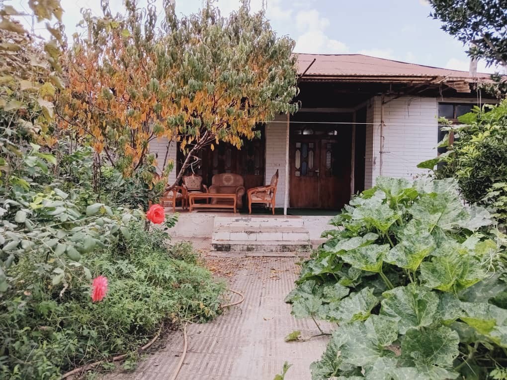 نمای ساختمان