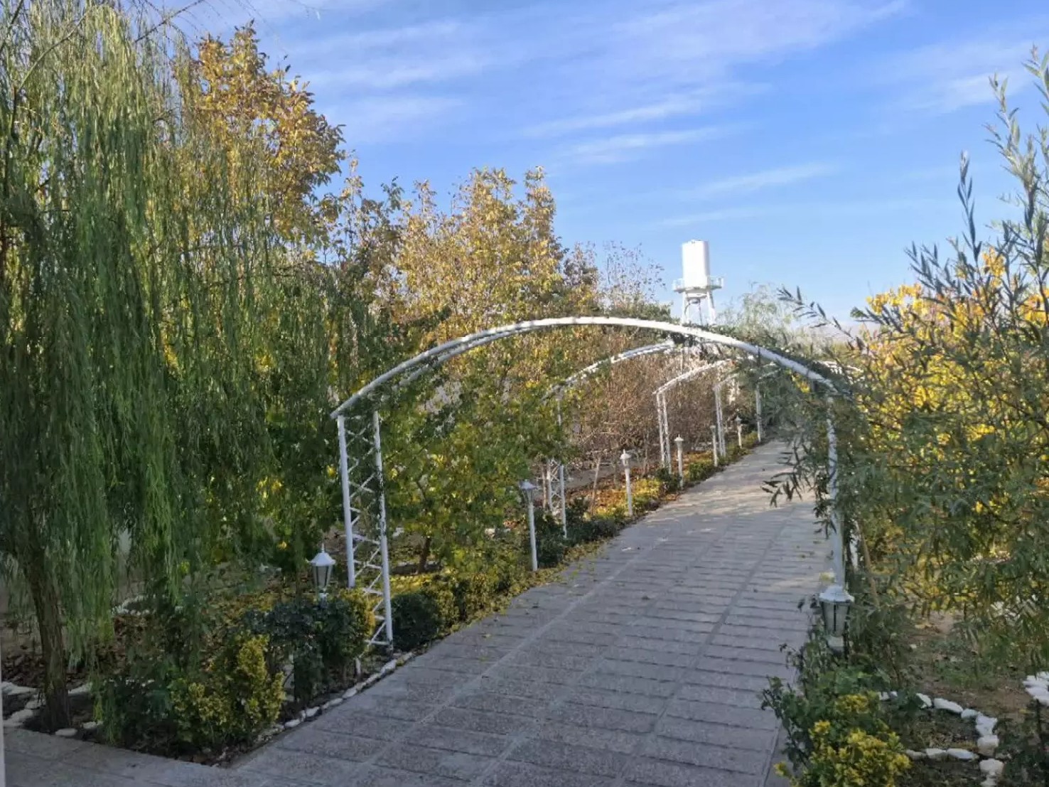 حیاط