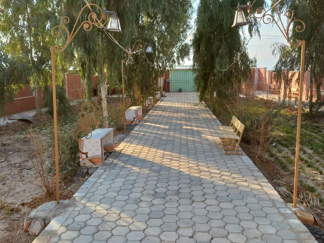 حیاط