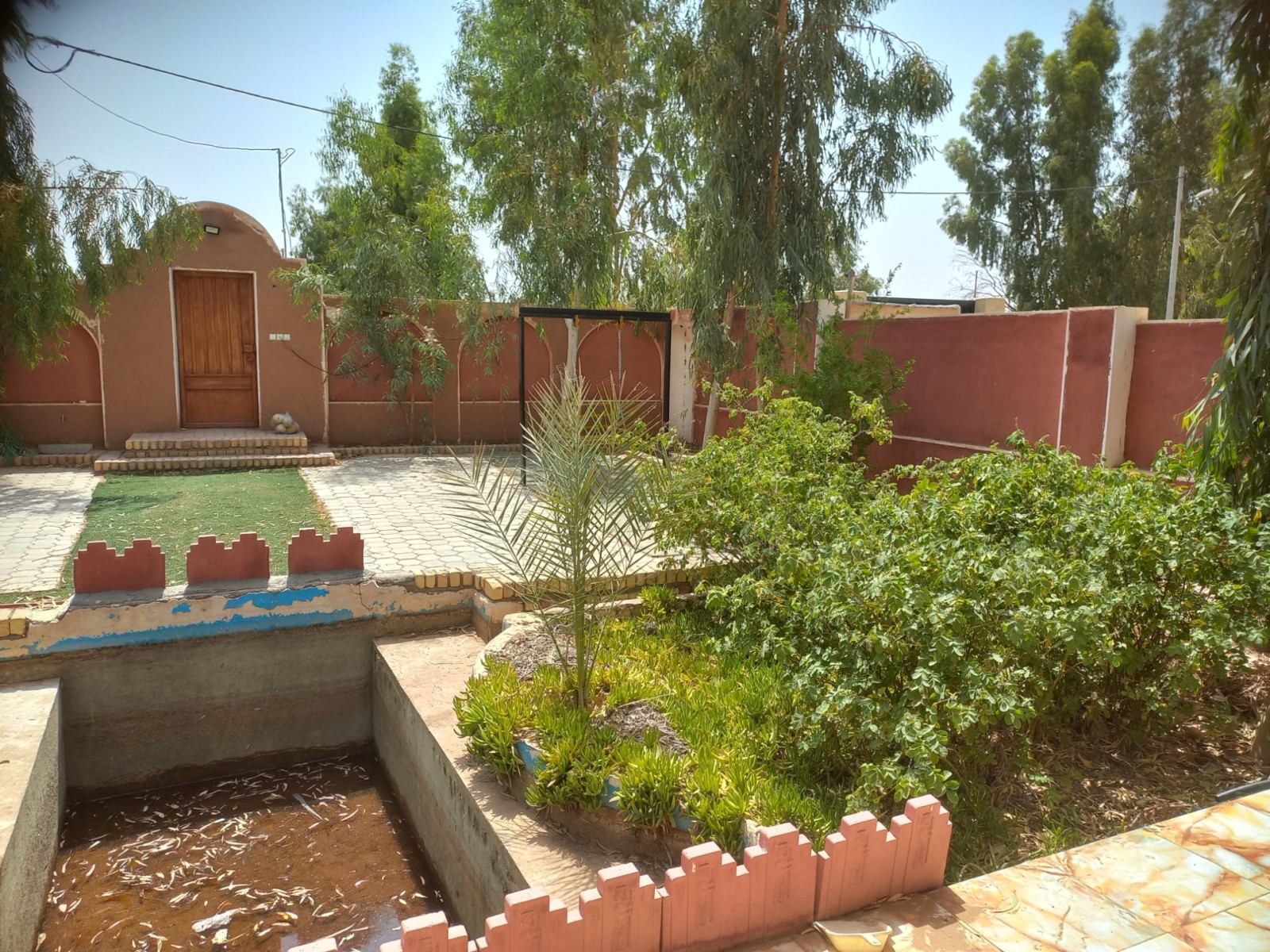 حیاط