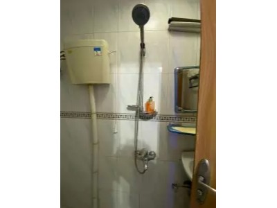 سرویس بهداشتی