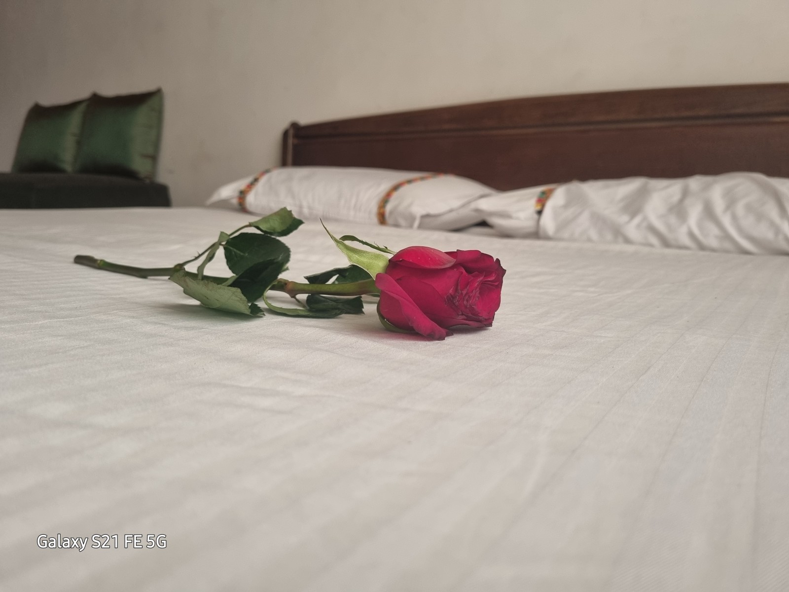 اتاق پذیرایی اتاق پذیرایی