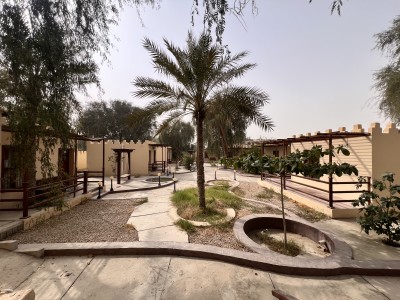 بومگردی صفاآباد(۱۰۲)