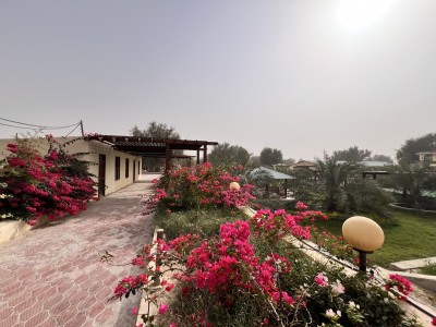 بومگردی صفاآباد(۱۰۹)