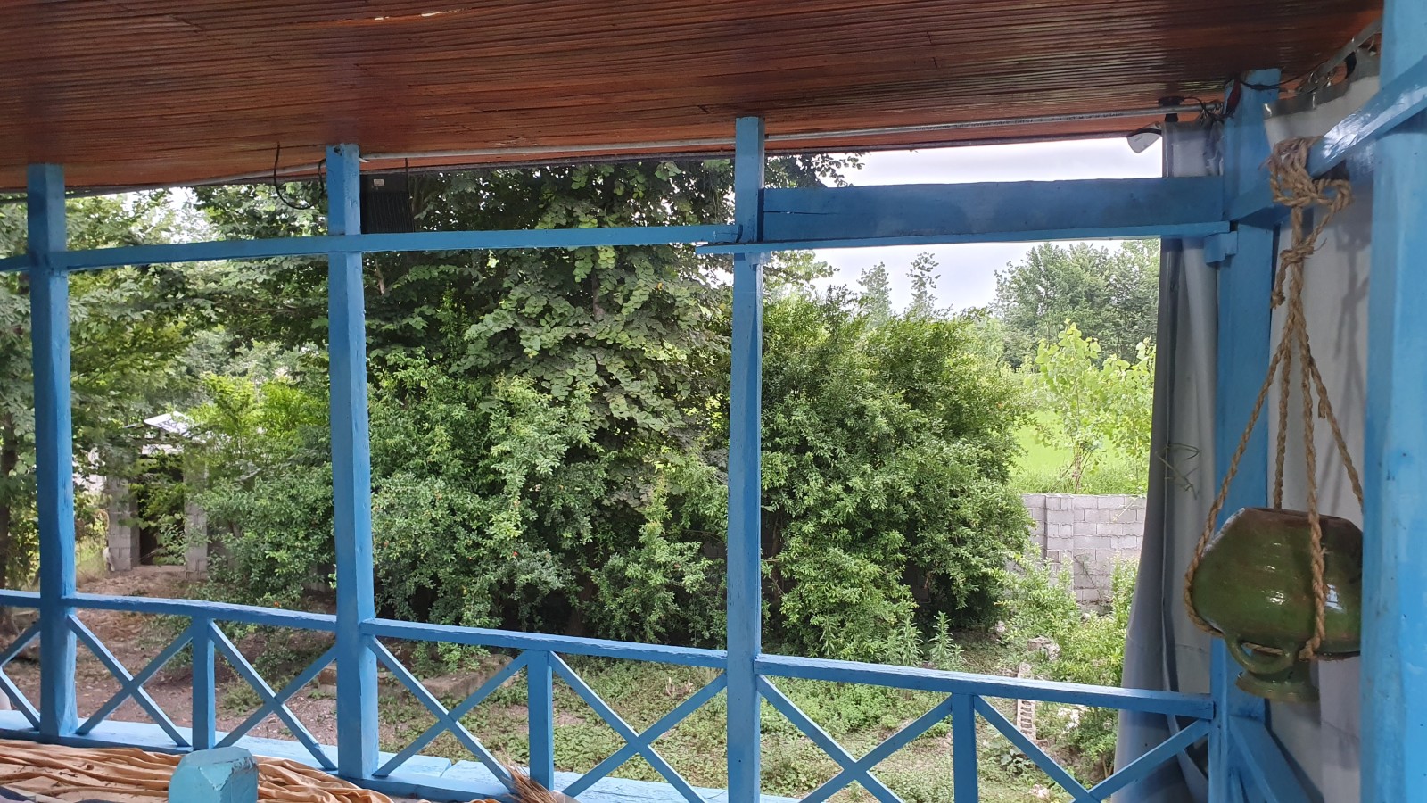 حیاط