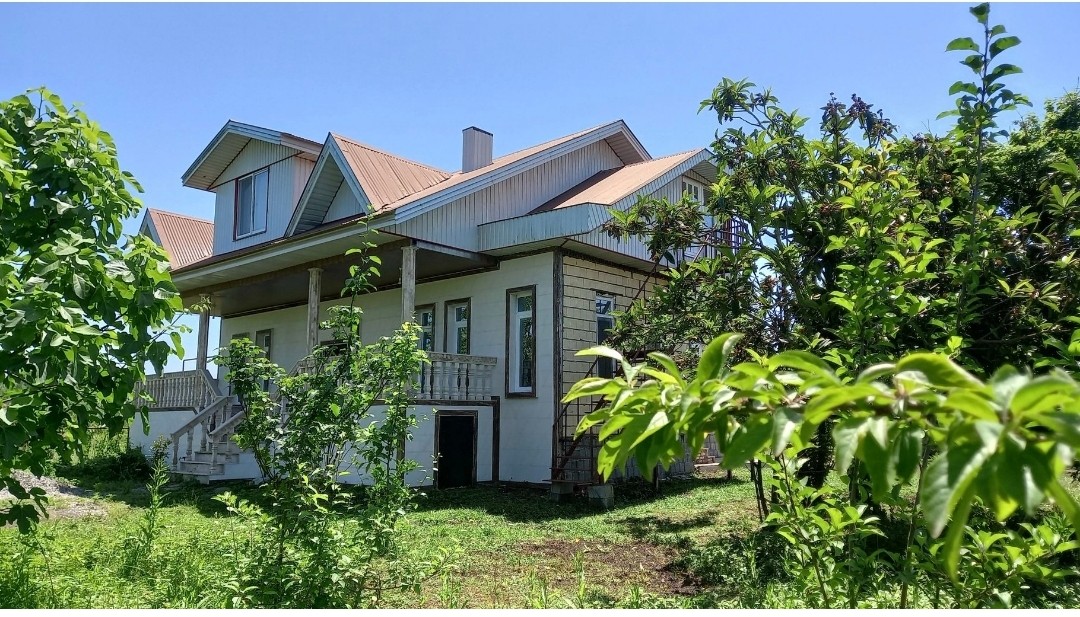 نمای ساختمان نمای ساختمان