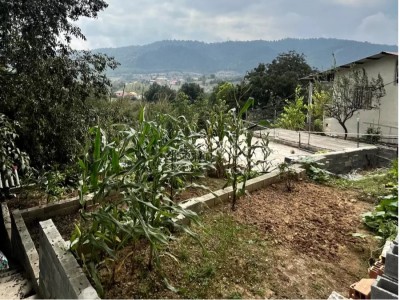 ویلای حیاط‌دار زیبا در پاشاکلا