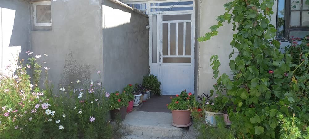 حیاط
